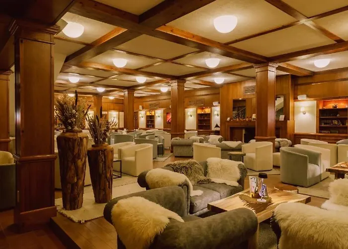 Superior With Terrace In 4star Life *