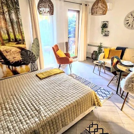 Superior With Terrace In 4star Life